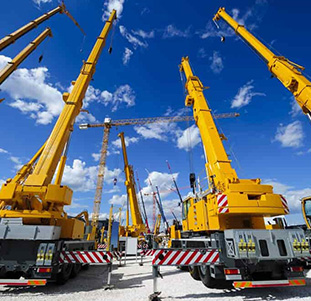 Cranes